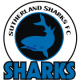 https://img.boostopia.io/football/team/71a3331c3902a051622e75a5086b3d62.png!w80 Logo